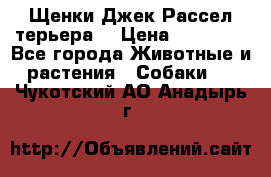 Щенки Джек Рассел терьера  › Цена ­ 15 000 - Все города Животные и растения » Собаки   . Чукотский АО,Анадырь г.